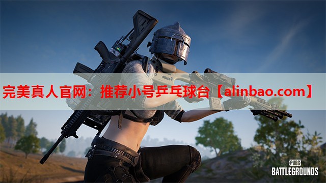 推荐小号乒乓球台 推荐小号乒乓球台