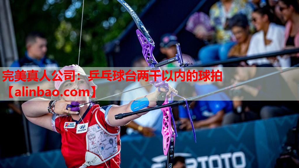 乒乓球台两千以内的球拍 乒乓球台两千以内的球拍