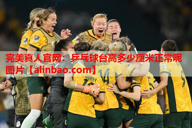 乒乓球台高多少厘米正常呢图片 乒乓球台高多少厘米正常呢图片