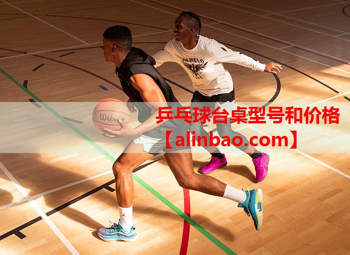 乒乓球台桌型号和价格 乒乓球台桌型号和价格
