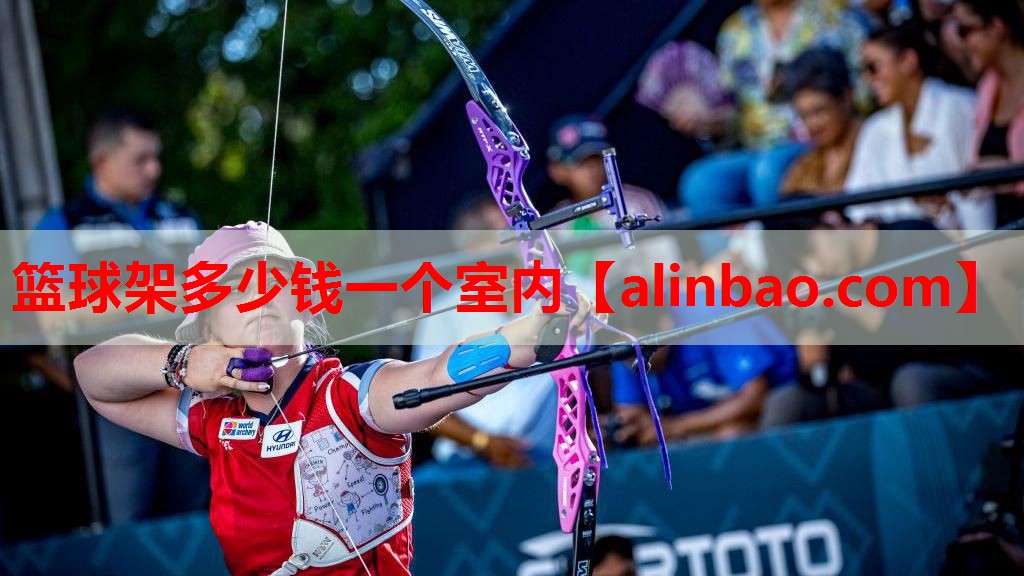 篮球架多少钱一个室内 篮球架多少钱一个室内