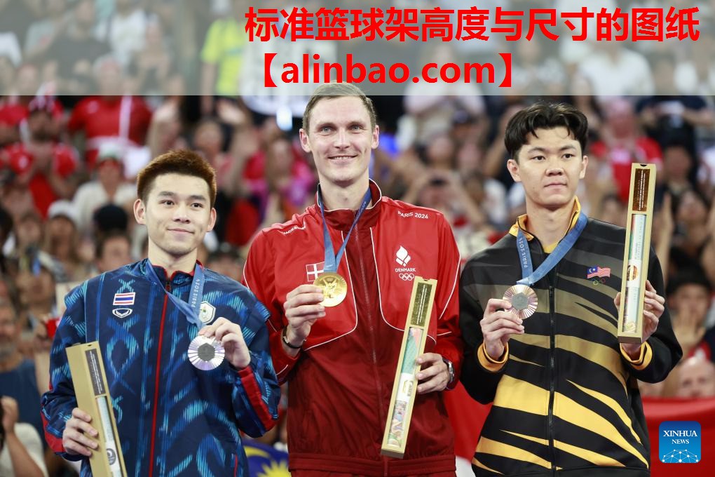 标准篮球架高度与尺寸的图纸