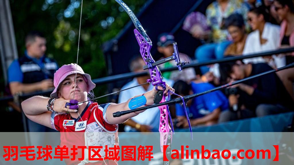 羽毛球单打区域图解 羽毛球单打区域图解
