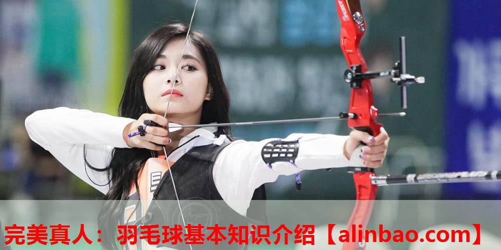 羽毛球基本知识介绍 羽毛球基本知识介绍