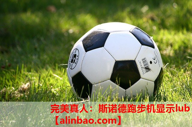 斯诺德跑步机显示lub 斯诺德跑步机显示lub